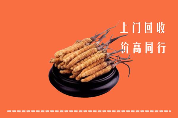 高价求购：湛江遂溪县回收散虫草