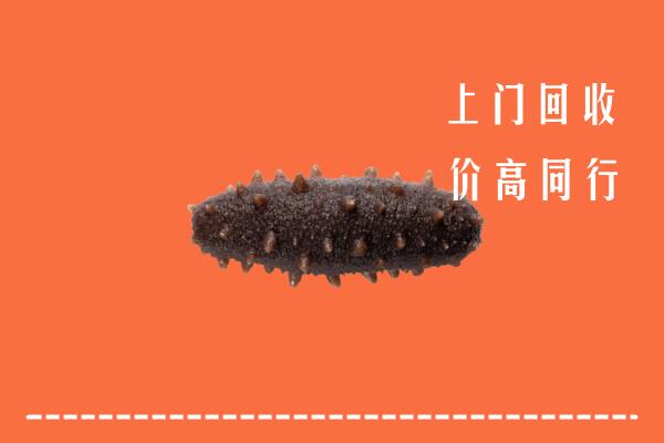 高价求购：湛江遂溪县回收海参